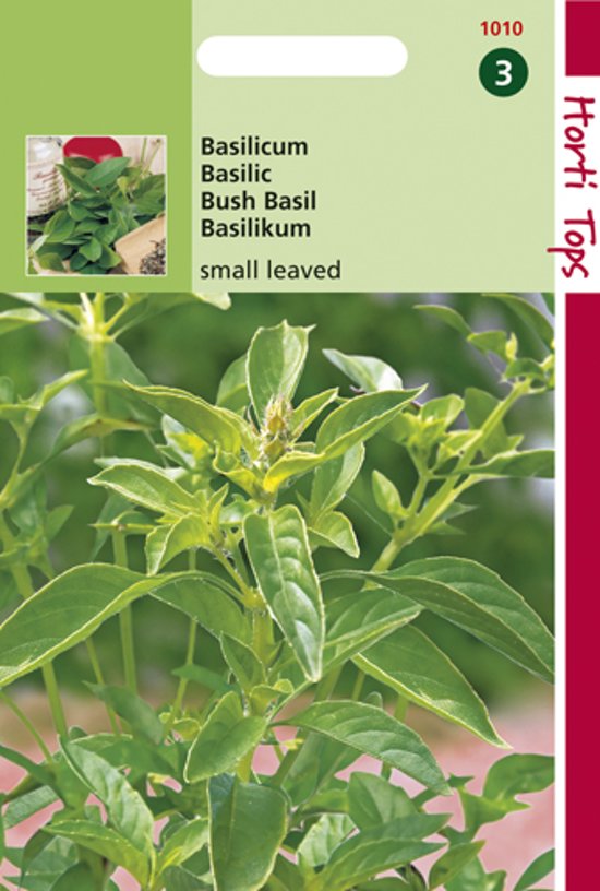 Basilicum fijnbladige (Ocimum basilicum) 900 zaden